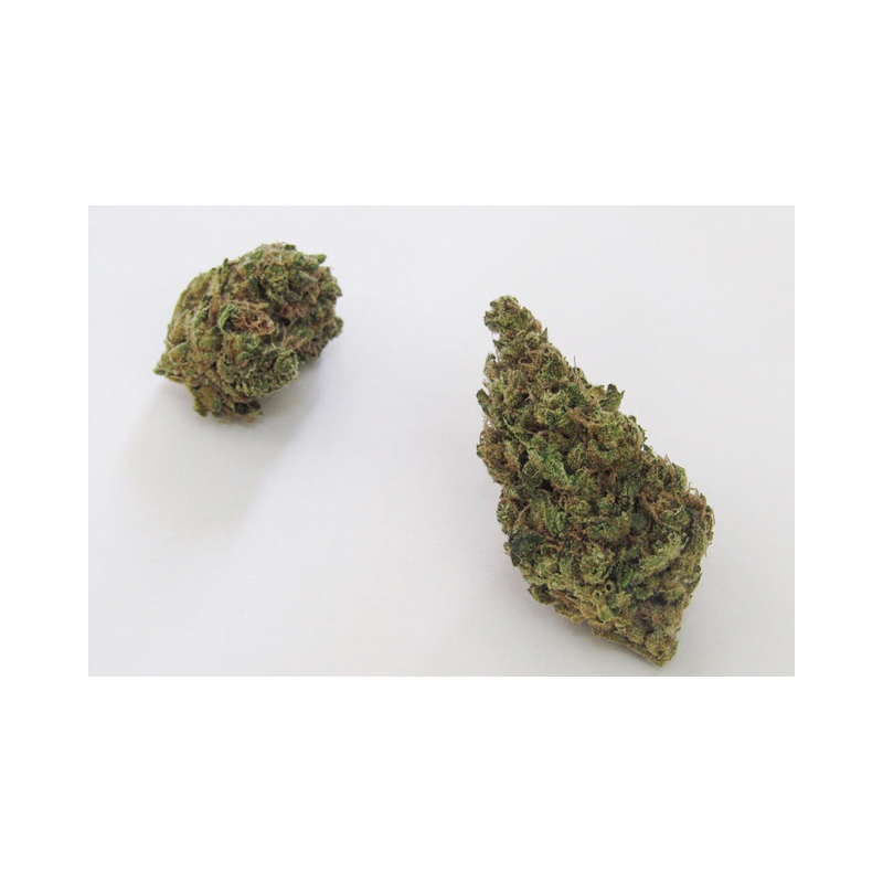 Cannabis Light - GREEN WIDOW - 2 gr - 1