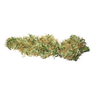 Cannabis Light - YOGURT - 2 gr - 1