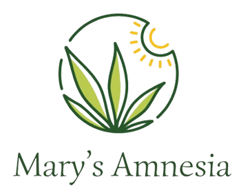 Mary's Amnesia di Iob Martina
